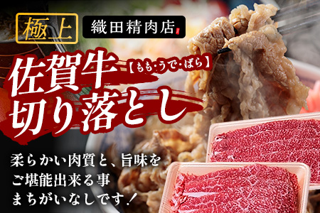 佐賀牛切り落とし【もも、うで、ばら】600g×2P(1.2kg)｜佐賀牛 和牛 国産牛 高級 ごちそう ギフト グルメ 贅沢 ふるさと納税 ブランド牛 佐賀県 鹿島市 お取り寄せ 牛肉好き必見 鹿島 もも うで ばら 切り落とし 牛肉 贅沢な食事　D-233
