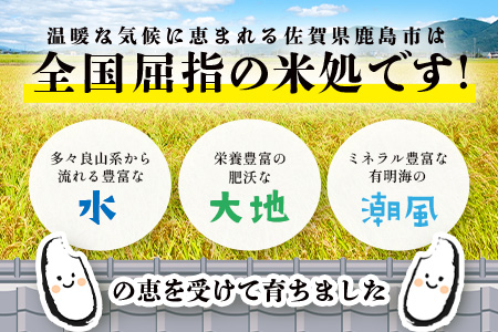 あなたのふるさとKashiMartが贈る「お米」の入った福袋B D-282 新年 年末 お正月 年始 佐賀 鹿島 九州 米 こめ コメ 精米 海苔 みかん レモン