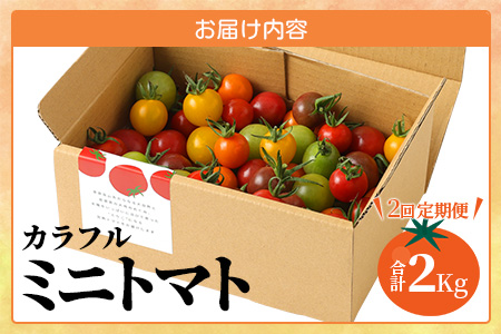 【先行予約】 カラフルミニトマト『Ricotomato』 【1kg×2回定期便】【2026年1月から出荷】 D-92
