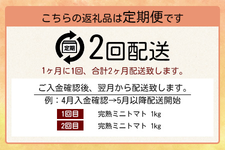 【先行予約】【2026年1月から出荷】 完熟ミニトマト『Ricotomato』 【1kg×2回定期便】 D-93