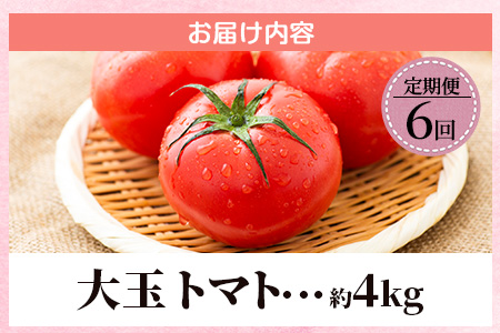 E-107　【先行予約】たにぐちファーム 大玉トマト 【4kg×6回定期便】【2023年12月から出荷】Ricotomato とりこになるトマト