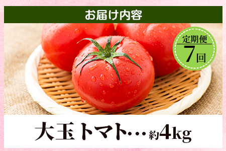E-108 【先行予約】 たにぐちファーム 大玉トマト 【4kg×7回定期便】【2023年12月から出荷】 Ricotomato とりこになるトマト