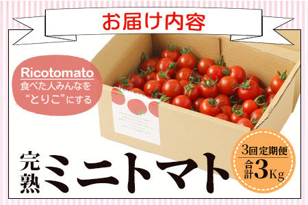 【先行予約】【2026年1月から出荷】 完熟ミニトマト『Ricotomato』 【1kg×3回定期便】 E-68