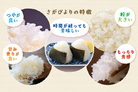 E-73 【令和7年産 佐賀県産 さがびより｜白米 27kg（30kgの玄米を精米した重量) 】 お米マイスターセレクト！|米 お米 九州 精米 国産 九州産 鹿島市