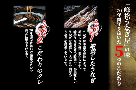 国産 うなぎの蒲焼（１尾入り）３か月定期便  |大型サイズ 国産 鰻 ウナギ 蒲焼き タレ付き 密封パック入り 佐賀県 鹿島市 冷蔵　E-81 ３か月定期便（１尾入り）