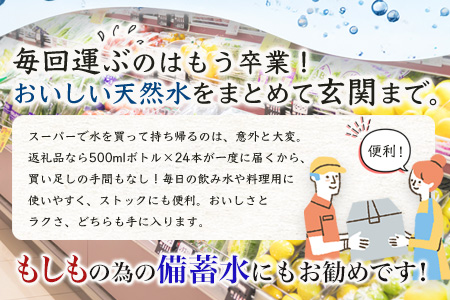 【定期便5回】 G7広島サミット提供『多良岳山系の水』 （500ml×24本×5回）天然水 ナチュラルウォーター定期便 毎月お届け 佐賀県 鹿島市 送料無料 F-14