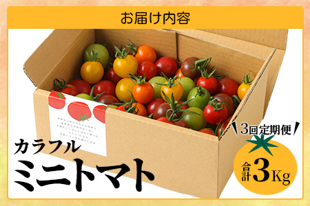 【先行予約】 カラフルミニトマト 『Ricotomato』 【1kg×4回定期便】 【2026年1月から出荷】 F-25