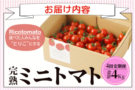 【先行予約】【2026年1月から出荷】 完熟ミニトマト『Ricotomato』 【1kg×4回定期便】F-32