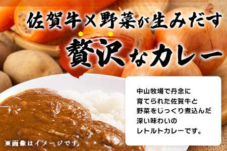 佐賀牛カレー 150g 30個 | 佐賀牛と野菜の深い味わい | 贅沢レトルトカレー 30個セット F-74 ご当地カレー 温めるだけ 湯煎 牛カレー 防災 非常食 常備食