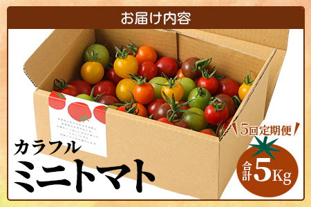 【先行予約】 カラフルミニトマト『Ricotomato』 【1kg×5回定期便】【2024年12月から出荷】 G-24