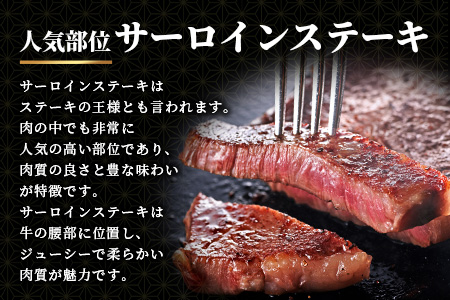 佐賀牛A5ランク サーロインステーキブロック肉3kg V-52