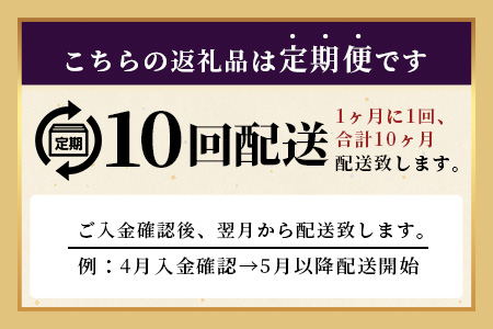 【定期便10カ月配送】佐賀牛ヒレシャトーブリアン200g×5枚 | 最高級 佐賀牛の最高峰 肉の芸術 五感で味わう極上肉 シャトーブリアン 肉 牛肉 高級肉 国産 定期便 10カ月 佐賀県 鹿島市 人気 送料無料　Y-4