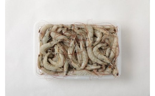 AA-9 冷凍芝エビ（真エビ）１kg（500g×2パック）