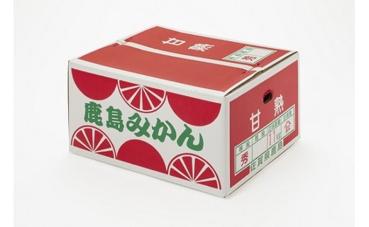 B-279佐賀県鹿島産『温州みかん』小玉 約１１ｋｇ