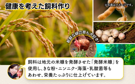 たまご 【定期便】佐賀県鹿島産 平飼い卵「うみとやまとこっこ」上田養鶏場 たまご20個×2回 タマゴ 玉子B-396 20個 × 2ヶ月【合計40個】