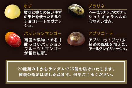 【匠の技】菓子工房 ひのでや てづくり ショコラ 25個 詰め合わせセット【シェフのこだわりと技術が詰まったチョコレート】 D-175