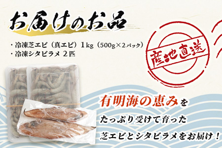 冷凍芝エビ（真エビ）1kg（500g×2パック）＆有明海産 シタビラメ約150g×2尾【有明海の恵】簡単調理 セット B-569