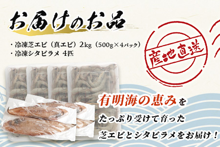 冷凍芝エビ（真エビ）2kg（500g×4パック）＆有明海産 シタビラメ約150g×4尾【有明海の恵】簡単調理 セット