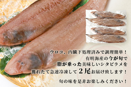 【下処理済で簡単調理】有明海産 シタビラメ約150g×2尾【合計約300g】煮つけ・唐揚げにおススメ【脂ののって美味しい】鮮度抜群 A-154