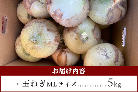 【先行予約】鹿島市産　玉ねぎ　5kg（MLサイズ）農家直送　５月以降発送予定　A-179