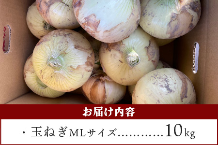 【先行予約】鹿島市産　玉ねぎ　10kg（MLサイズ）農家直送　５月以降発送予定　B-736