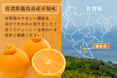 【先行予約】不知火（ギフト箱入り）３kg　B-741