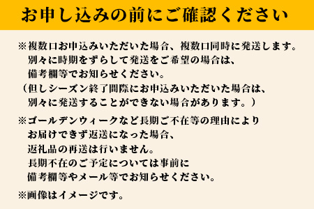 B-124 驚く甘さ！フルーツコーン　約４ｋｇ