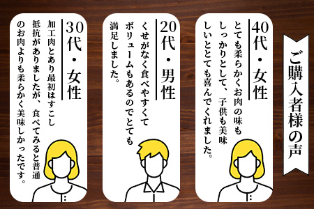 牛サーロインステーキ(牛脂注入)100g×5枚×2袋【合計1kg】柔らかさとジューシーな味わいが自慢のお肉 B-615