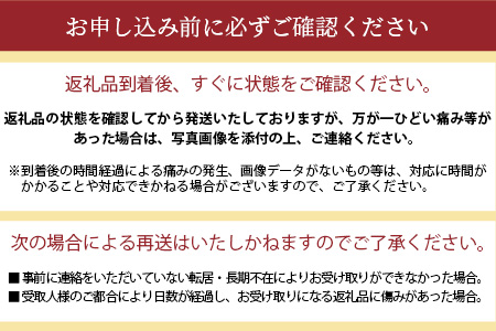 B-306 肥前の国の農産物大満足セット