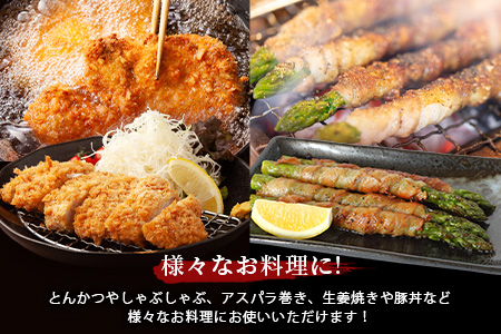 D-62 SPFプレミアムポーク芳寿豚まんぷくセット