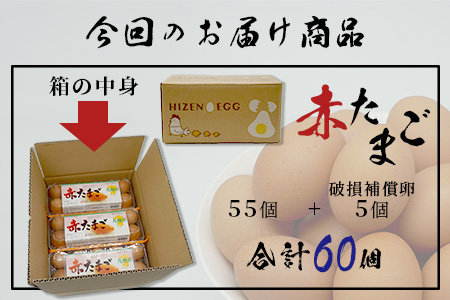 【鹿島市産のたまご】肥前のおいしい赤たまご　６０個（５５個＋破損補償５個入り）　B-711