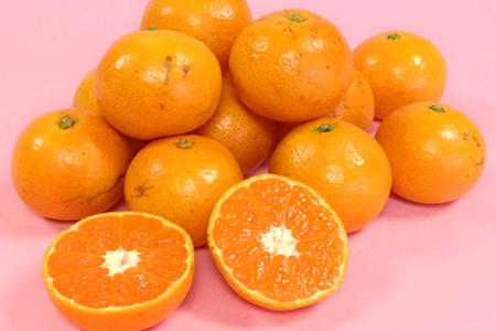 【訳あり】【先行予約】高評価4.5以上！やーらしか鹿島産みかん 6.5kg｜【数量限定】小粒サイズ ご家庭用｜一口で食べられる濃縮旨み｜お子様にも｜生産者直送 国産 佐賀県産 ミカン 蜜柑 果物 フルーツ 送料無料 人気【AA-6】