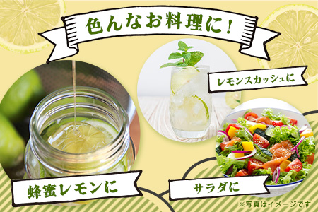 【産地直送】【農家直送】【予約受付】佐賀県鹿島市産　マイヤーレモン　5kg サイズ混合 【9月中旬頃より配送】B-726