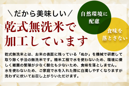 E-99 佐賀県産 厳選さがびより（無洗米）白米 ３０kg