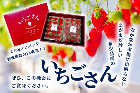 いちごさん　ゆりかーごギフト B-728