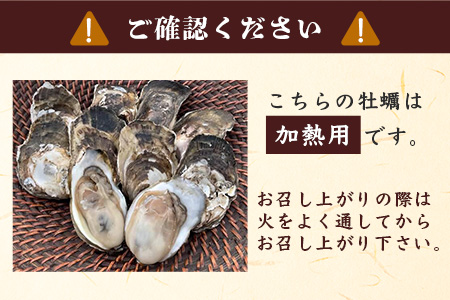 【先行予約】有明海産 すみのえ牡蠣（養殖・加熱用）殻付き 3kg | 全国牡蠣-1グランプリ銀賞受賞 | 生産者直送【11月中旬頃から発送予定】新鮮・美味しい・濃厚な焼き牡蠣や蒸し牡蠣に最適！クリーミー 旬 旨味 グルメ 佐賀県 鹿島市 人気 C-114