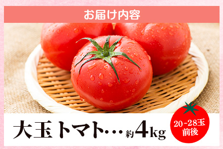 【先行予約】 たにぐちファーム 大玉トマト 4kg 【2024年2月～6月出荷】 Ricotomato とりこになるトマト Ａ-159