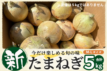 甘～い！新鮮！新たまねぎ 約5kg (MLサイズ）★大自然育ち【2025年4月より発送】生産者直送！タマネギ 玉葱 新タマ 新玉ねぎ サラダ 惣菜 お料理 ストック 箱買 美味しい 甘い 常備野菜 佐賀県 鹿島市産 人気 送料無料 A-180