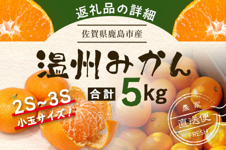 温州みかん 小玉(SS,3S)5kg　A-205