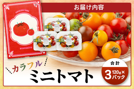 【先行予約】 カラフルミニトマト 【少量パック】 120gx3p　たにぐちファーム カラフルミニトマト 360g とりこになるトマト 野菜 とまと トマト リコピン 佐賀産 佐賀県 鹿島市　A-211 カラフルミニトマト 【少量パック】 120gx3p