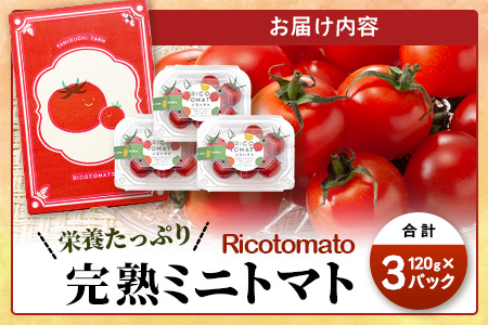 【先行予約】完熟ミニトマト 【少量パック】 120gx3p　たにぐちファーム 完熟ミニトマト 360g とりこになるトマト 野菜 とまと トマト リコピン 佐賀産 佐賀県 鹿島市　A-212 完熟ミニトマト 【少量パック】 120gx3p