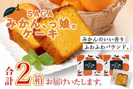 SAGAみかん、っ娘。ケーキ 2箱（合計8個入り）A-219