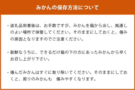 【先行予約】（2026年12月頃発送） ”じっぱか”鹿島産みかん 約６kg 【サイズ別】【期日指定不可】国産 佐賀県産 ミカン 蜜柑 果物 フルーツ A-99