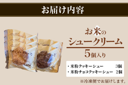 AA-41 お米のシュークリーム詰め合わせ（プレーン３個・チョコ２個）【バレンタイン・ホワイトデー対応可】