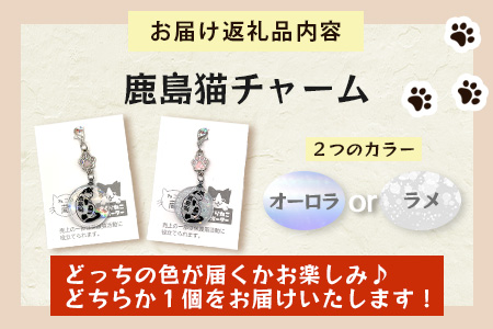 鹿島猫チャーム｜保護猫カフェねこの蔵 チャーム 保護猫 猫 古民家カフェ 支援 鹿島市 猫カフェ カフェ プレゼント　AA-64