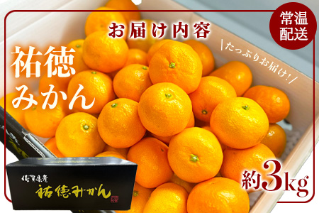 B-100 【数量限定】みかん 約3kg 化粧箱入り 祐徳みかん | ふるさと納税 温州みかん フルーツ 果物 ギフト 贈答 ミカン 蜜柑 柑橘 くだもの 果実 国産 佐賀県 鹿島市 ふるさと 人気 送料無料 【10月下旬～12月頃発送予定】