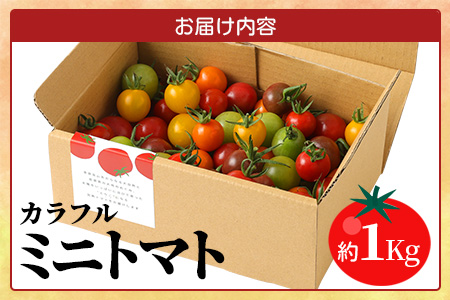 【先行予約】 たにぐちファーム カラフルミニトマト 約1kg 『Ricotomato とりこになるトマト』 B-280