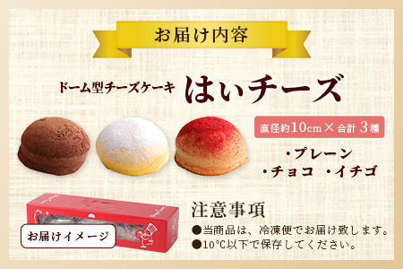 ふわふわのドーム型ケーキ「はいチーズ」3種セット【チーズケーキ お祝い パーティ 年始 年賀 大晦日 年末 贈り物 プレゼント贈答 スフレ チョコケーキ イチゴ】　【バレンタイン・ホワイトデー対応可】
