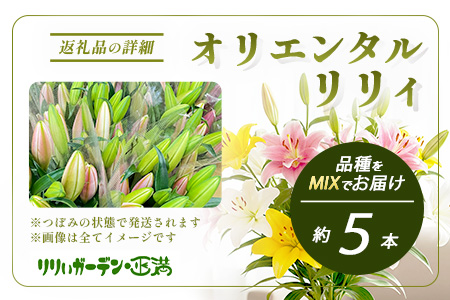 【生産者直送】高レビュー5.0 幸せと笑顔を届けるオリエンタルリリィ ユリ 百合 花 切り花 フラワー 艶やか 美しい 華やか 可憐 鮮やか 長持ち 強い 有機肥料 自然 人気 ラッピング プレゼント 贈り物 贈答 佐賀県 鹿島市 送料無料 B-313