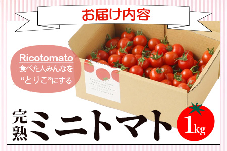 【先行予約】 たにぐちファーム 完熟ミニトマト 約1kg 『Ricotomato とりこになるトマト』 B-324